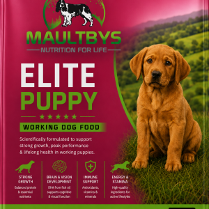 Elite Puppy